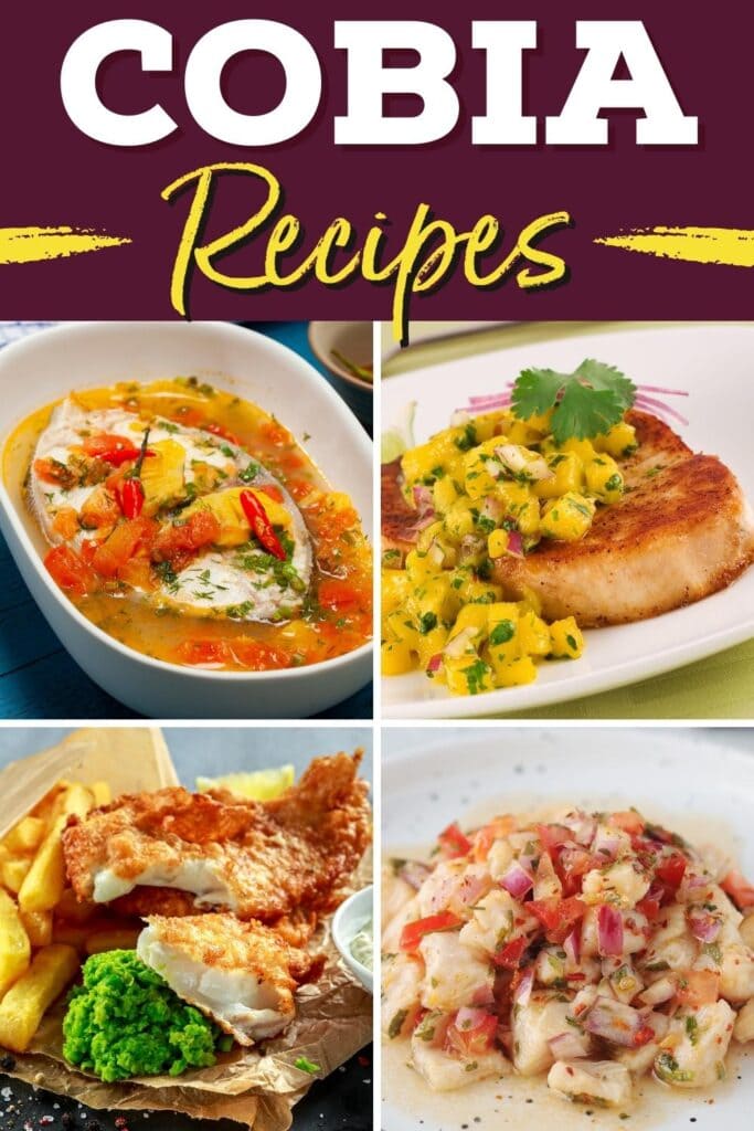 Cobia Recipes