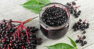 Elderberry Syrup with Fresh Elderberries